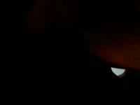 Dog porno with a smooth ass babe